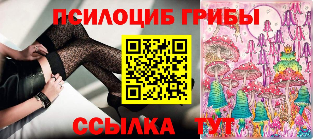 Псилоцибиновые грибы Cubensis Керчь